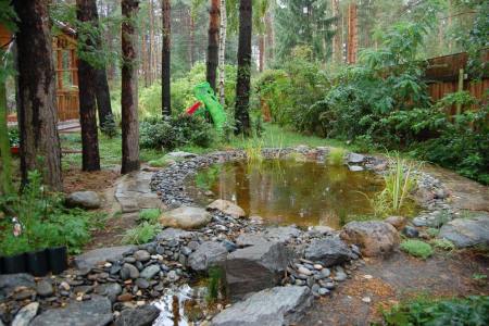Stages of pond construction