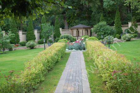 2012. Nikolina Mountain